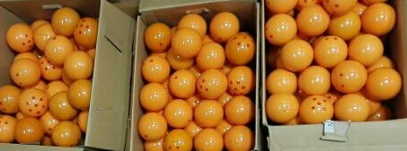 ドラカプ みかん箱 高額買取りキャンペーン